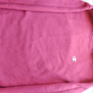 Vintage Champion Crew Neck Sweatshirt - image 1